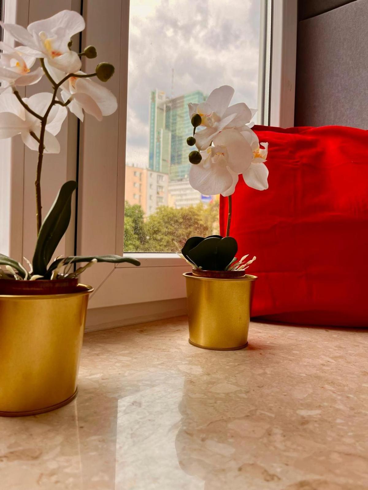 Petit 1 Bed Room Condo Warszawa Center מראה חיצוני תמונה